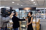 个人珠宝展